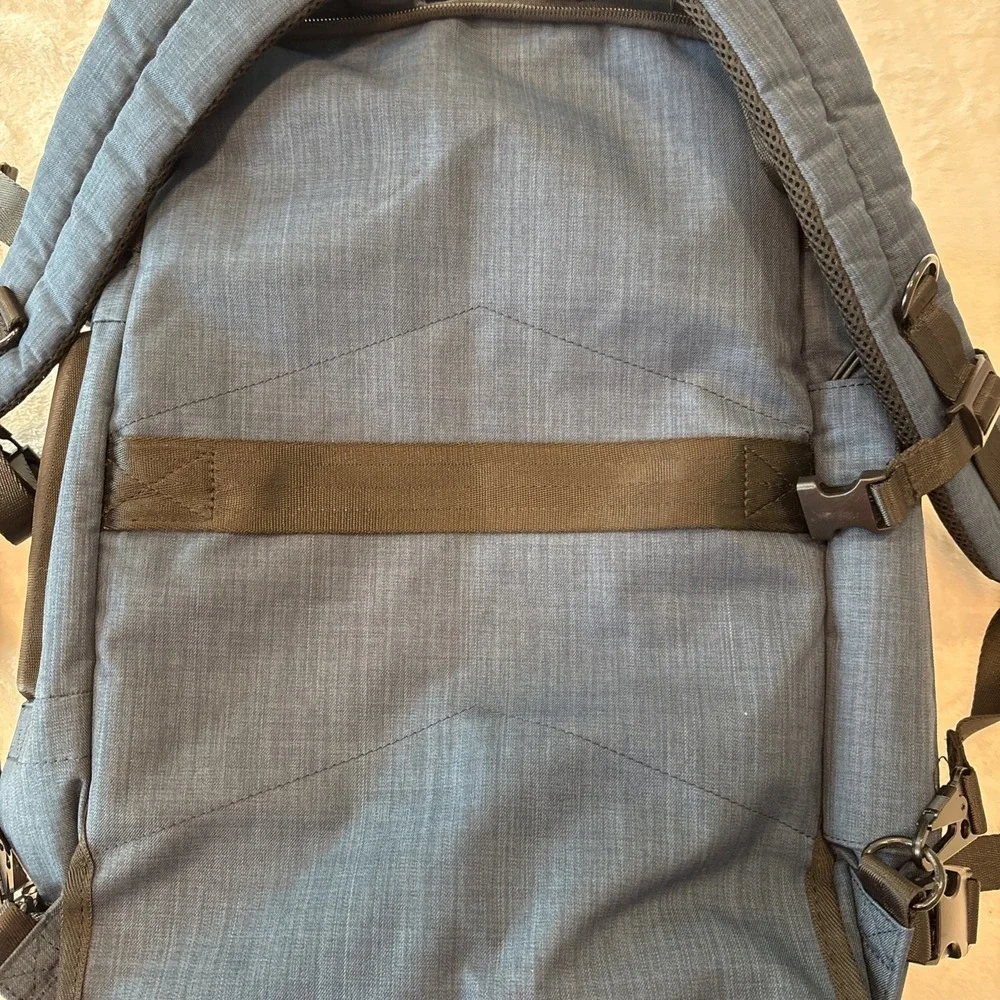 dinictis Travel Business Backpack